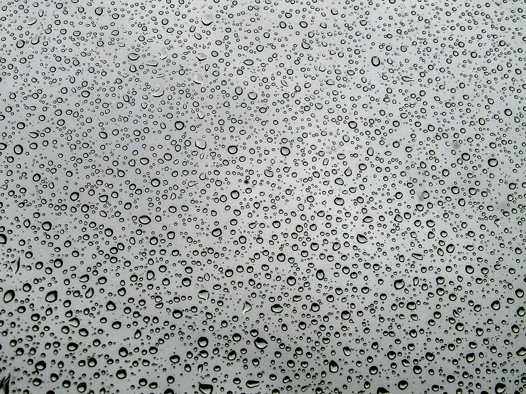 A number of water droplets on a window pane