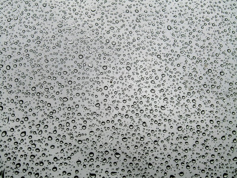 A number of water droplets on a window pane