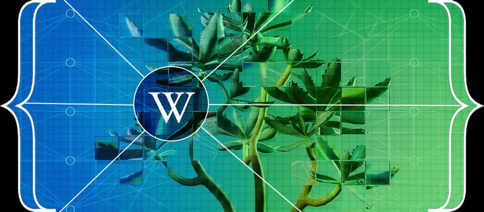 Thumbnail of Wikipedia's value in the age of generative AI – Wikimedia Foundation